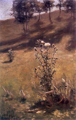 Thistles