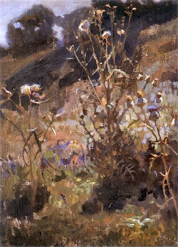 Thistles against the Sun