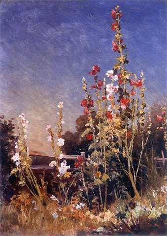 Hollyhocks