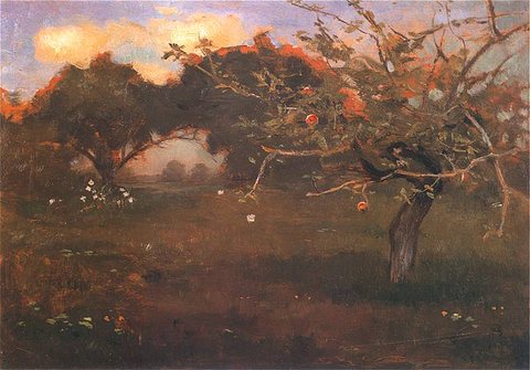 Orchard