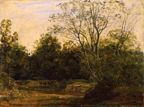 A Wooded Landscape