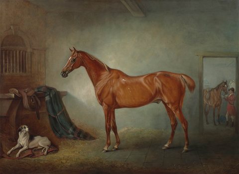 Lord Henry Bentinck's Chestnut Hunter Firebird and Policy, a Foxhound, in a Loose Box