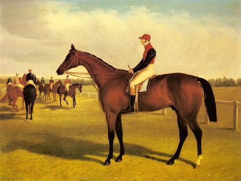 Don John, Winner of the St Leger, with William Scott Up