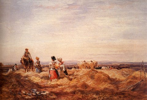 In The Hayfield