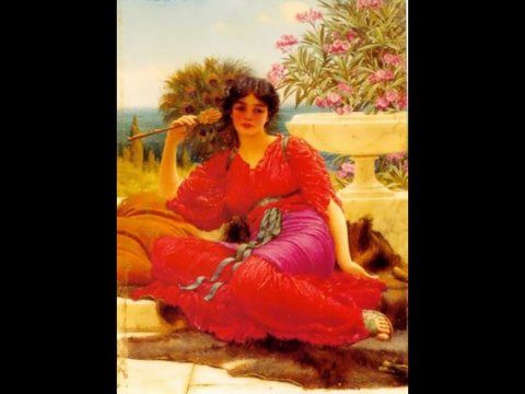 Flabellifera (study)