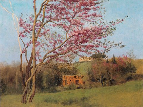 Landscape with Blossoming Red Almond