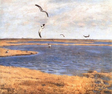 Lapwings