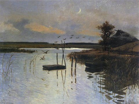 Ducks over the Water