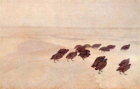 Partridges