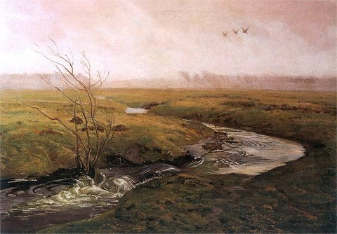 The Stream