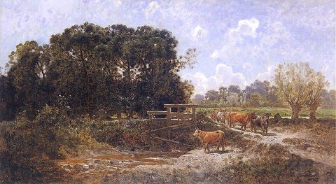 Cattle at Pasture