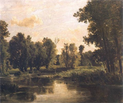 Lake in the Forest