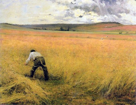 The Ripe Wheat