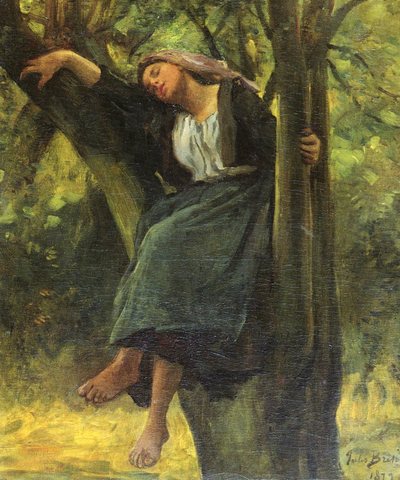 Asleep in the Woods