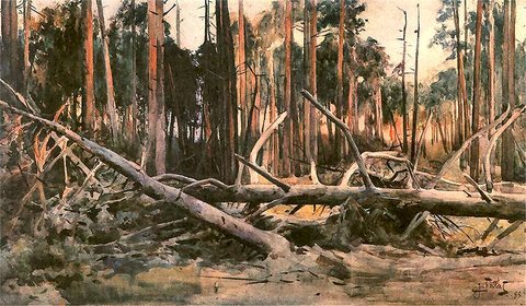 Forest