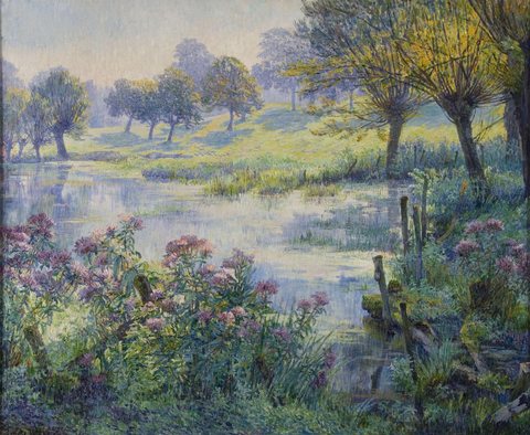 Sunny Landscape