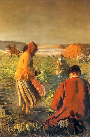 Digging Beets