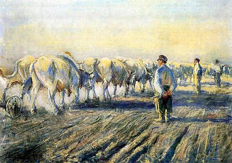 Ploughing in Ukraine