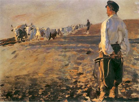 Ploughing in Ukraine