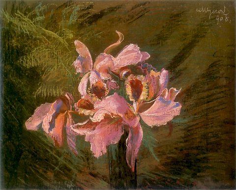 Orchids