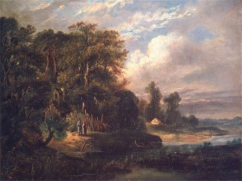 Forest Landscape