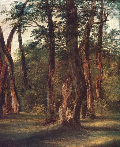 Grove