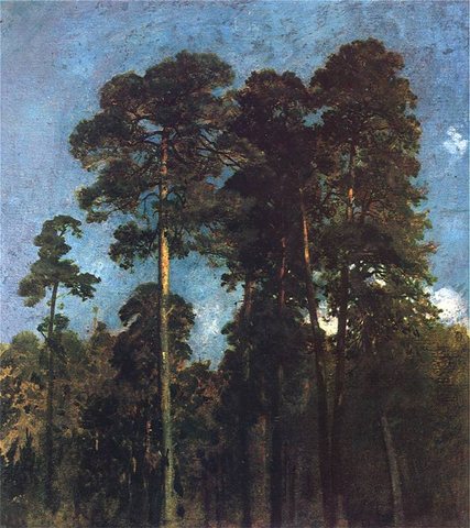 Pines