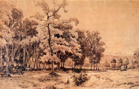 Shooting Range in a Grove