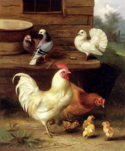 A Cockerel Hen And Chicks With Pigeons