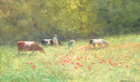 Poppies in the Field