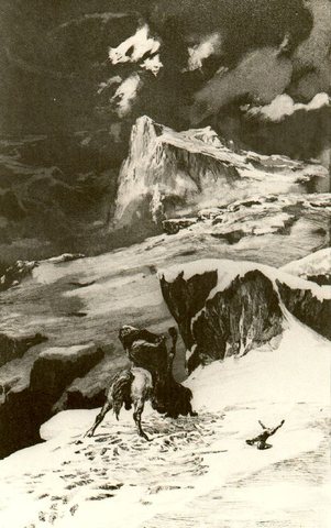 无题 第40号
