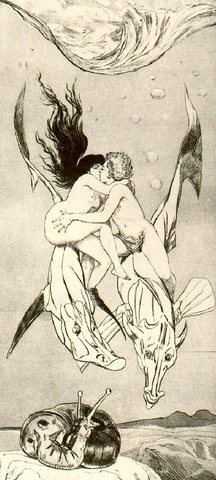 无题 第43号
