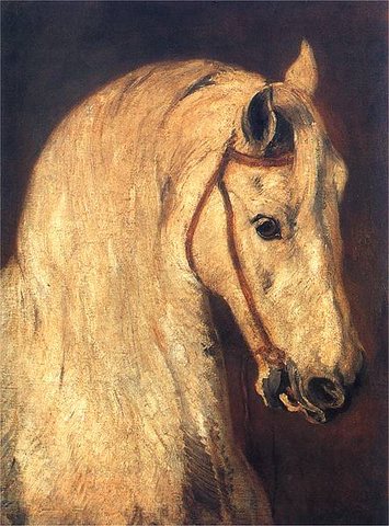 Head of a Horse