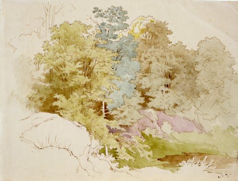 Woodland