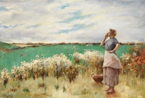 Summer Day