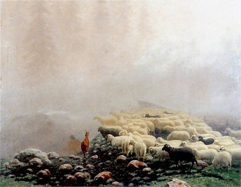 Овце в мъглата