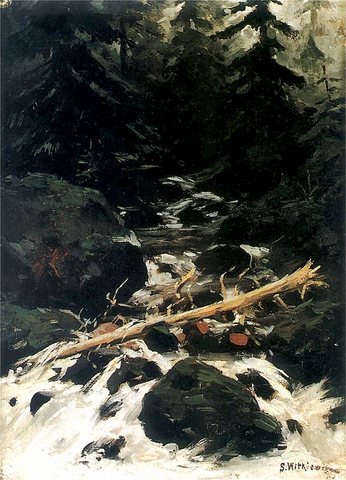 Поток в гората
