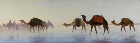 Camels Crossing Water