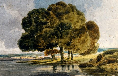 Ohne Titel Nr. 79