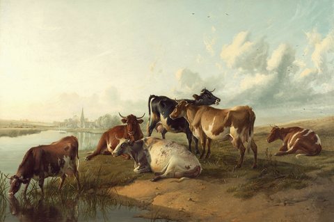 The Church Meadows