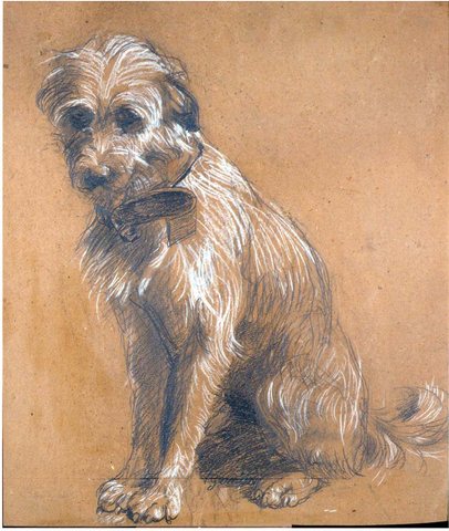 Seated Dog