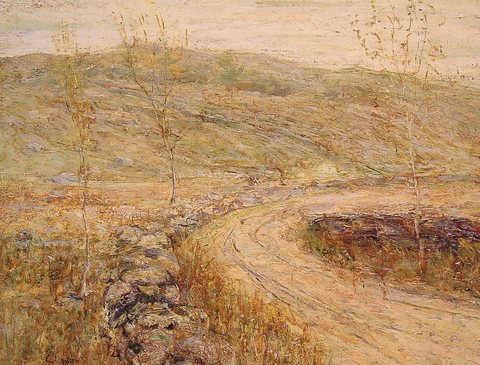 Road in Spring