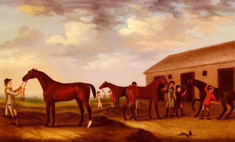 Four Racehorses Outside The Rubbing Down House Newmarket