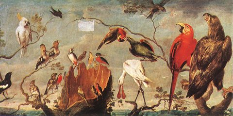 Concert Of Birds
