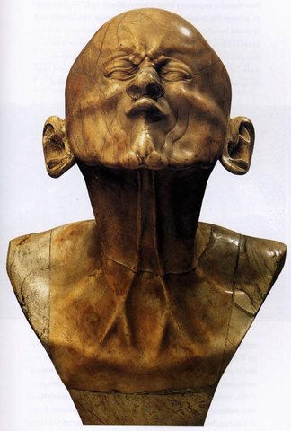 Character Head The Beaked