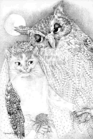 mcowlpussycat