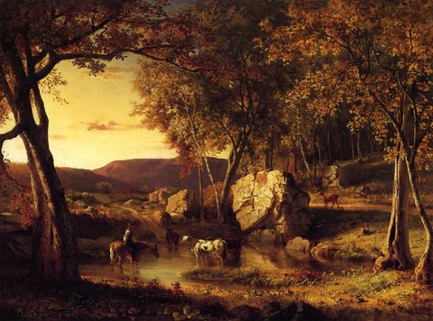 Summer Days Cattle Drinking Late Summer Early Autumn