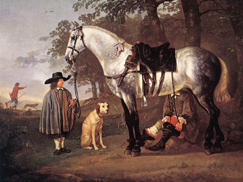 Grey Horse In A Landscape