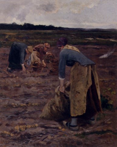 The Potato Gatherers