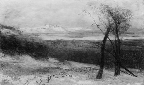 Behind Dunes Lake Ontario
